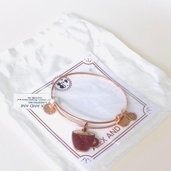 Alex and Ani Pumpkin Spice and Chill Bracelet - Picture 3 of 4